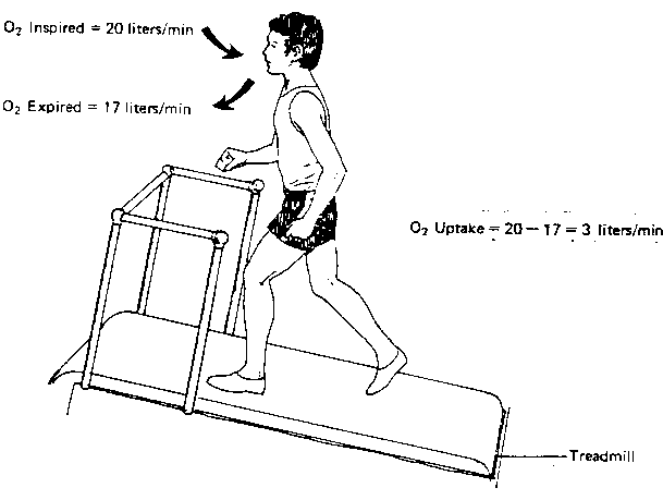 Treadmill tests