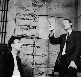Watson & Crick