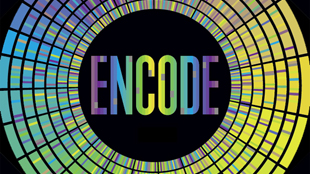 Encode Project