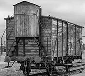 Auschwits-Birkenau Concentration Extermination
              Camp
