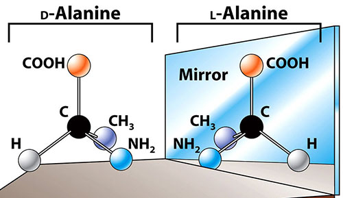 D and L alanine - relative configuration of amine group