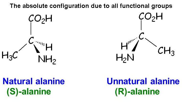 Absolute configuration of alanine