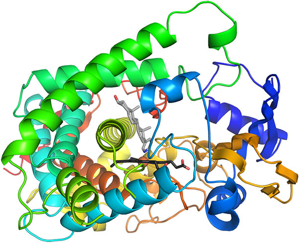 cytochrome-P450